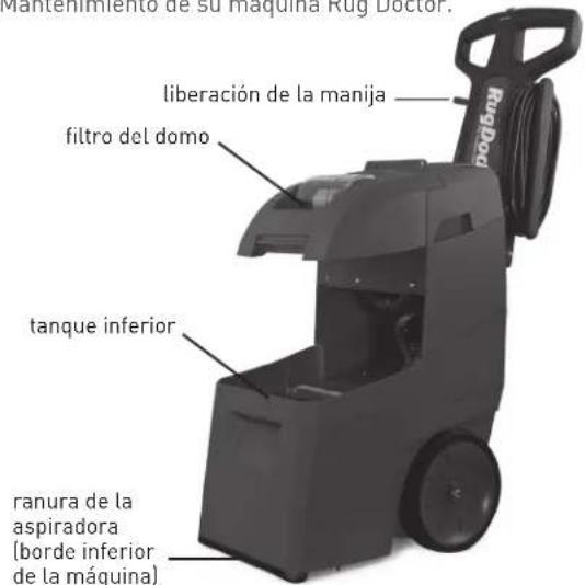 Rug Doctor Mighty Pro X3 - Comience a limpiar - 2