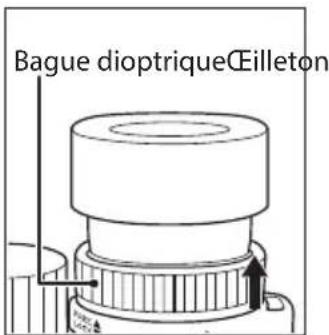 NIKON Monarch HG 10x42 - Réglage dioptrique et mécanisme de verrouillage - 2