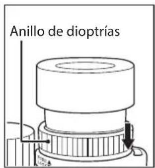 NIKON Monarch HG 10x42 - Dioptrías y mecanismo debloqueo de dioptrías - 4