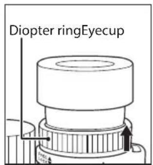 NIKON Monarch HG 10x42 - Diopter and diopter lock mechanism - 2