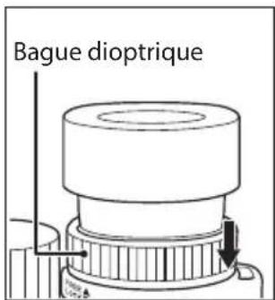 NIKON Monarch HG 10x42 - Réglage dioptrique et mécanisme de verrouillage - 4