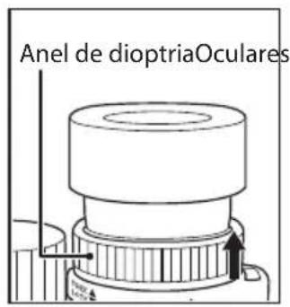 NIKON Monarch HG 10x42 - Dioptria e mecanismo de trava de dioptria - 2