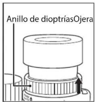 NIKON Monarch HG 10x42 - Dioptrías y mecanismo debloqueo de dioptrías - 2