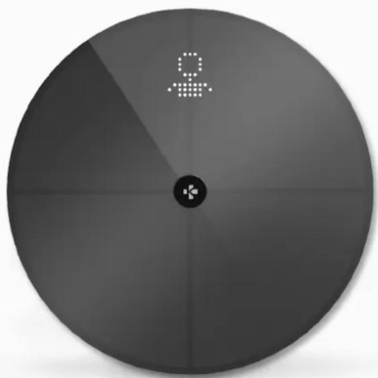 MYKRONOZ MyScale - Lorsque cela se produit, la balance affiche l'interface ci-dessous : - 1