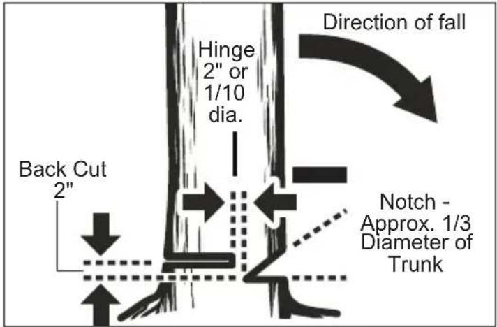MILWAUKEE 272720 - Felling Trees Hazardous Conditions - 2