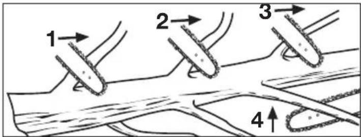 MILWAUKEE 272720 - ADVERTENCIA Nunca se suba a un árbol para podarlo ni desramarlo. - 1