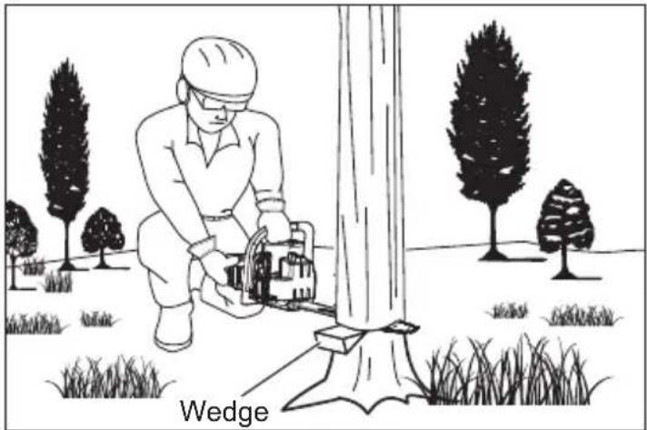 MILWAUKEE 272720 - Felling Trees Hazardous Conditions - 4