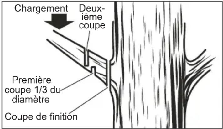 MILWAUKEE 272720 - ⚠ AVERTISSEMENT Si les branches à couper se trouvent au-dessus du niveau de la épaules, confier le travail à un professionnel. Ne pas prendre cette précaution peut entraîner des blessures graves. - 1