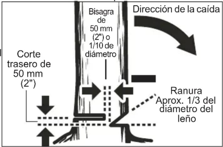 MILWAUKEE 272720 - ADVERTENCIA No tale árboles durante temporadas de vientos ciclónicos ni de alta precipitación. Espere hasta que hayan cedido las condiciones climáticas adversas. - 2