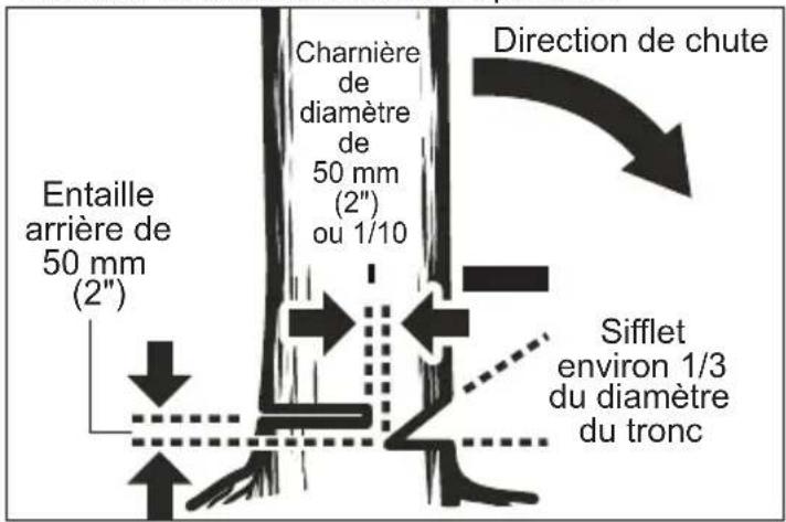 MILWAUKEE 272720 - AVERTISSEMENT Ne pas effectuer d'abattage par grand vent ou en cas de fortes précipitations. Attendre que le temps se calme. - 2