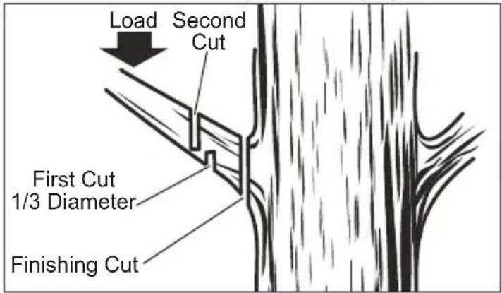 MILWAUKEE 272720 - Pruning - 1
