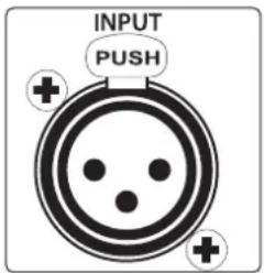 INPUT PUSH