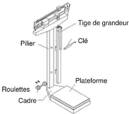 Brecknell HS200M - Installation de la tige de grandeur : - 1