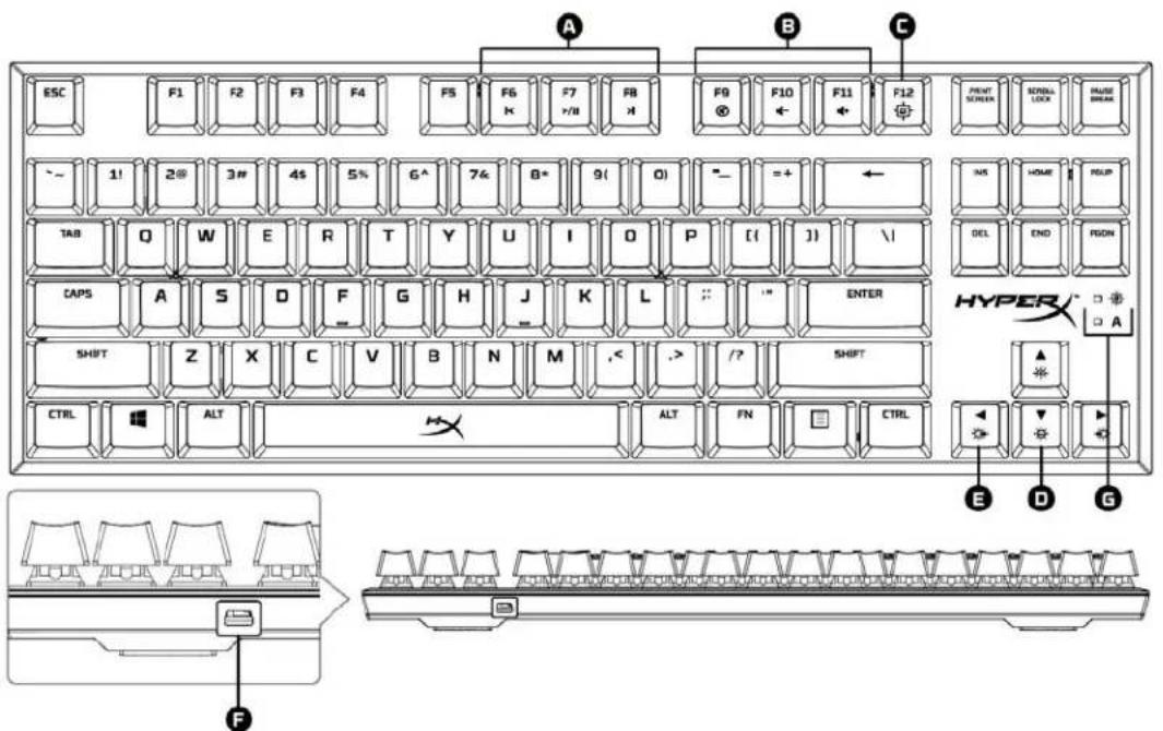 KINGSTON HyperX Alloy FPS Pro - Panorama sulla tastiera: - 1