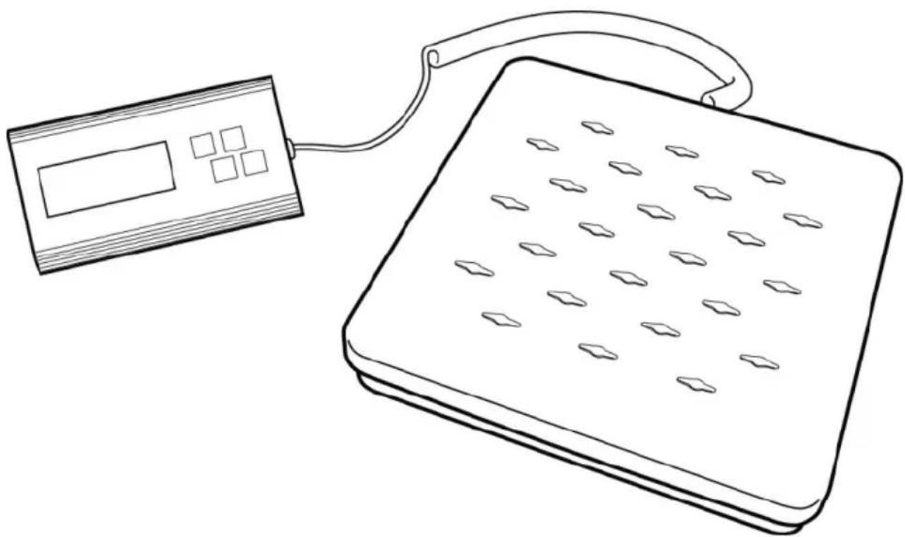 Escali Granda 120S - Báscula de Envío y Recepación - 1