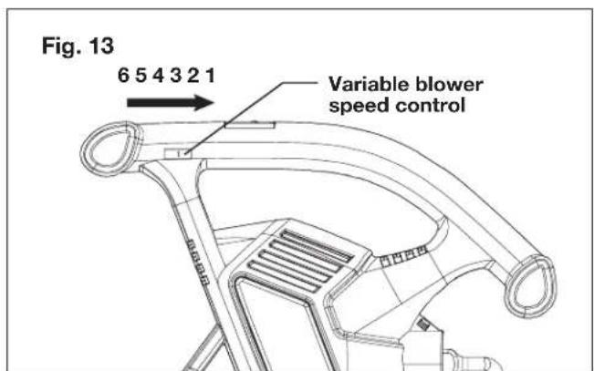 Sun Joe SBJ605E - Speed Control - 1