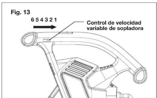 Sun Joe SBJ605E - Control de velocidad - 1