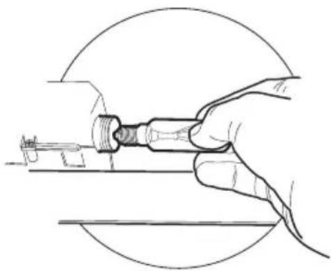BLAUPUNKT 5DB66251 - Lampe halogène de 28 W. - 1
