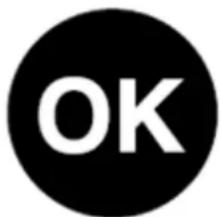 BLAUPUNKT 5CG24010 - Adesivo «OK» - 1