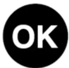 BLAUPUNKT 5CG22010 - Sticker „OK" - 1