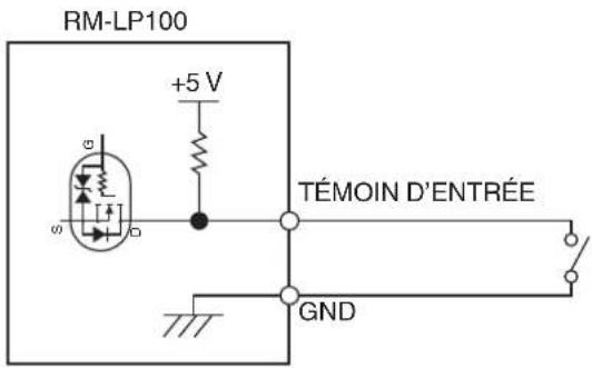 JVC RMLP100 - Exemple de connexion pour TÉMOIN D'ENTRÉE - 1