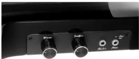 Harley Benton DB01SB - Adapter le volume et les graves - 1