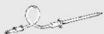 GE Profile PT960SMSS - Using the probe. - 4