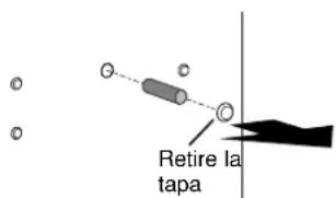 GE IM5SS - RETIRE EL TAPON DE RELLENO DE ORIFICIO - 1