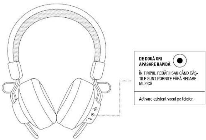 FRESH N REBEL Cult - OPERARE ASISTENT VOCAL - 1