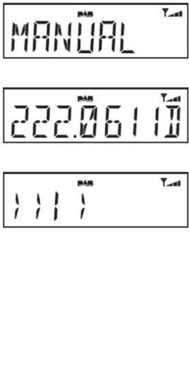 ROBERTS Eco4 BT - Réglage manuel - DAB - 2