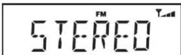 ROBERTS Eco4 BT - Options d'affi chage - FM - 7