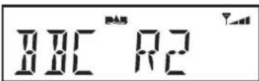 ROBERTS Eco4 BT - Options d'aff chage - DAB - 4