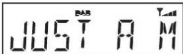 ROBERTS Eco4 BT - Options d'aff chage - DAB - 5
