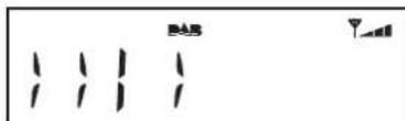 ROBERTS Eco4 BT - Options d'affi chage - DAB cont. - 4