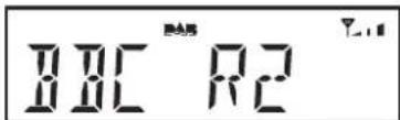 ROBERTS Ortus 1 - Options d'affi chage - DAB - 2