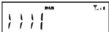 ROBERTS Ortus 1 - Options d'affi chage - DAB - 5