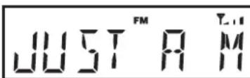 ROBERTS Ortus 1 - Options d'affi chage - FM - 3