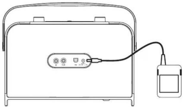 ROBERTS Expression - Utilisation de l'adaptateur secteur - 1