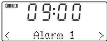 ROBERTS Sound100 - Horloge et alarmes - 4