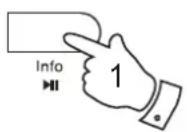 ROBERTS Revival Blutune - Options d'affi chage - DAB - 1
