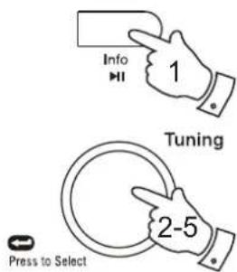 ROBERTS Revival Blutune - Services secondaires - DAB - 2