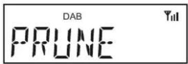 ROBERTS Revival Uno BT - Supprimer des stations - DAB - 5