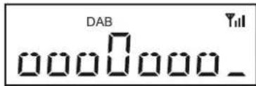 ROBERTS Revival Uno BT - Options d'affichage FM - 3
