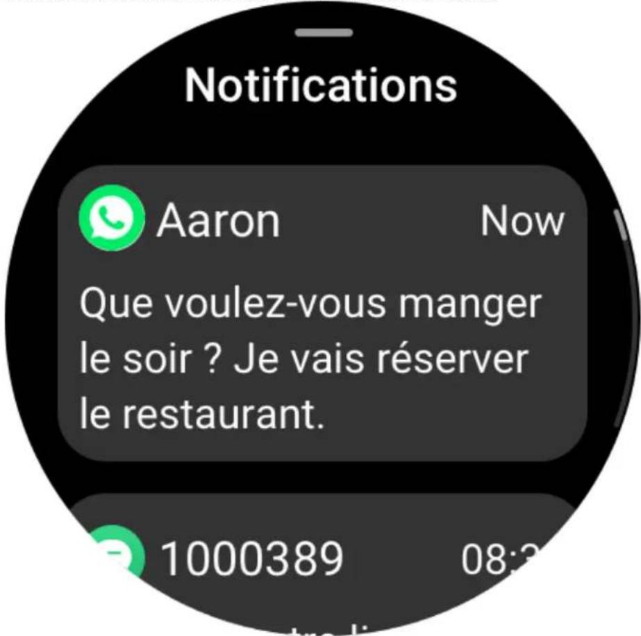 AMAZFIT GTR 3 Pro - Alertes d'application - 1