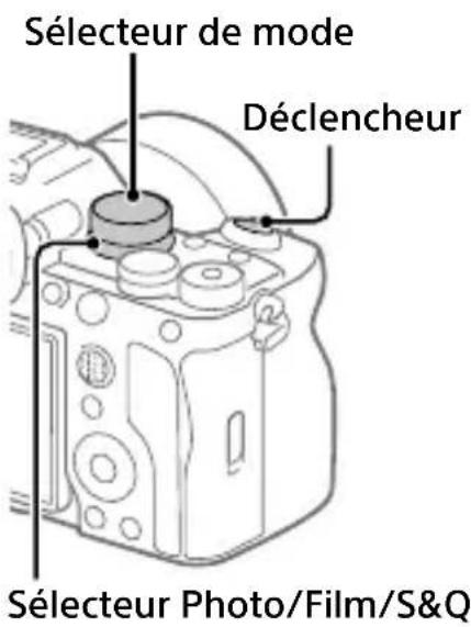 SONY Alpha A7 IV - Prise d'images fixes - 1