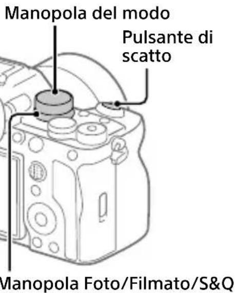 SONY Alpha A7 IV - Ripresa di fermi immagine - 1