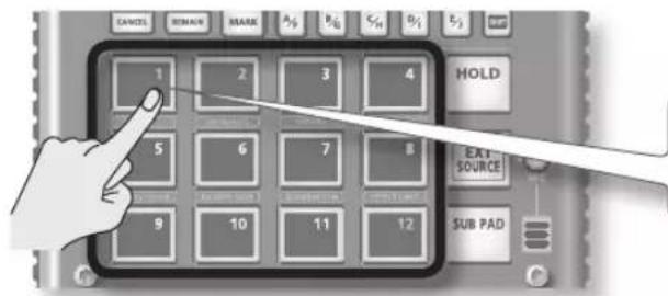 ROLAND SP404A - Appuyez sur le bouton BANK [A/F] pour l'allumer. - 2