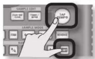 ROLAND SP404A - Mettre le son en pause (PAUSE) - 1
