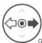 DJI Agras T10 - Controlremoto - 7