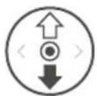 DJI Agras T10 - Controlremoto - 9